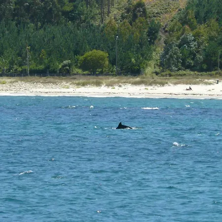 Vandrarhem Delfin *